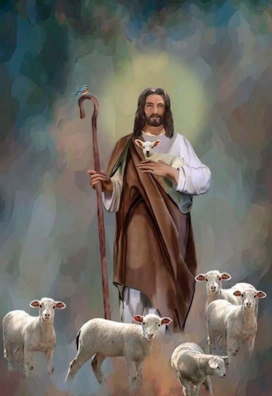 Liturgia de la Palabra del jueves 04 de noviembre
