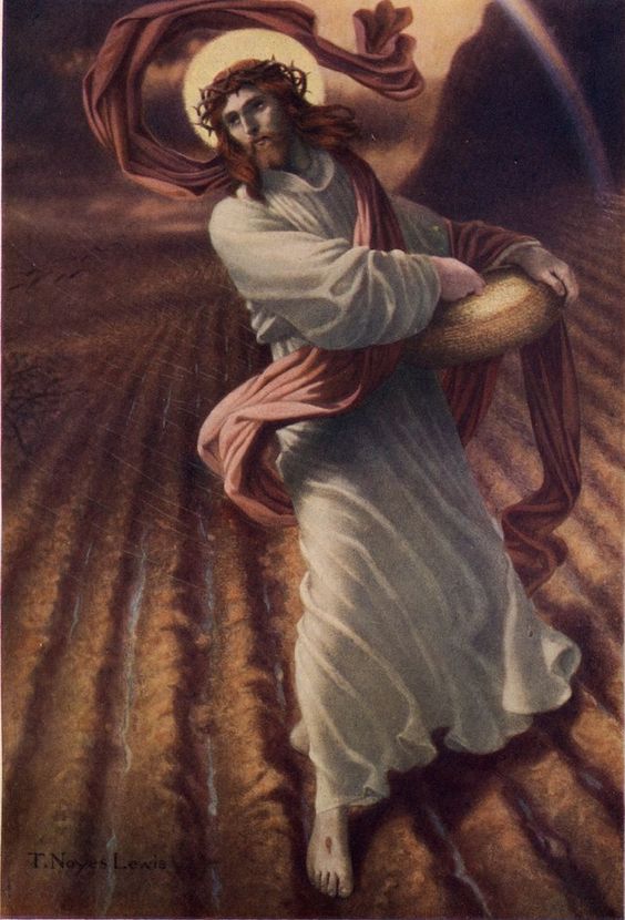 Liturgia de la Palabra del miércoles 20 de julio
