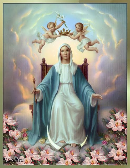 Liturgia de la Palabra del lunes 22 de agosto