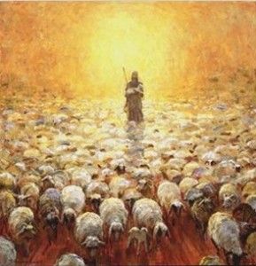 Liturgia de la Palabra del lunes 12 de setiembre