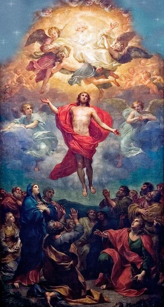 Liturgia de la Palabra del martes 25 de abril