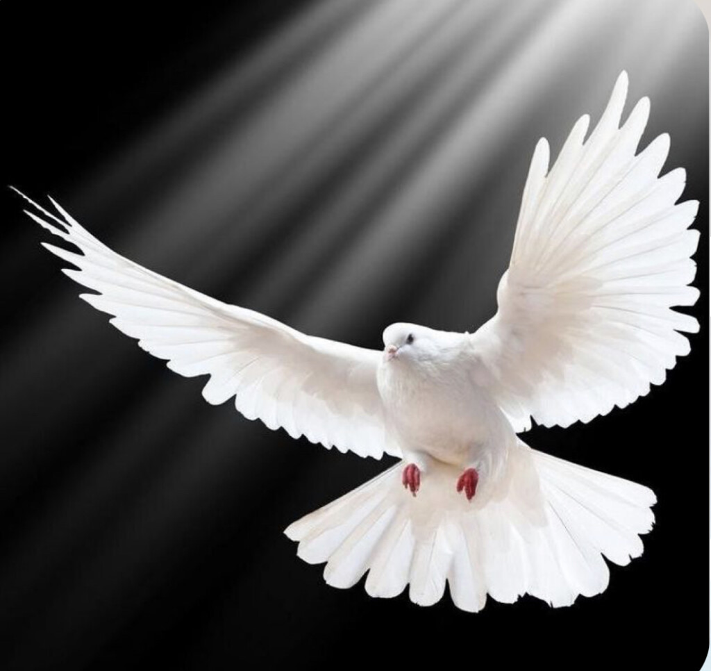 Liturgia de la Palabra del lunes 15 de mayo