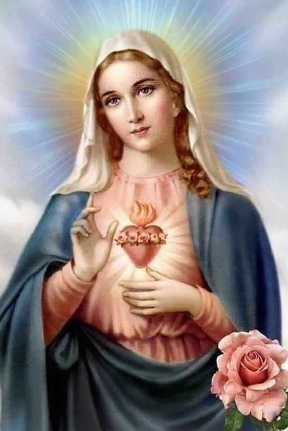 Liturgia de la Palabra del sábado 17 de junio