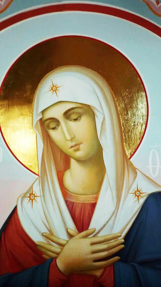 Liturgia de la Palabra del martes 12 de diciembre