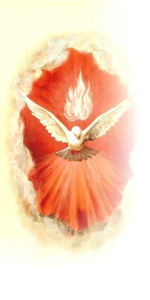 Liturgia de la Palabra del lunes 06 de mayo