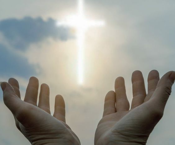 Liturgia de la Palabra del viernes 21 de junio