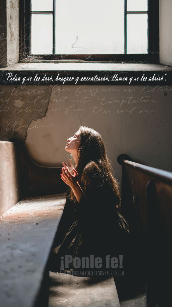 PALABRA del JUEVES 26/12 y Meditación del Papa Francisco