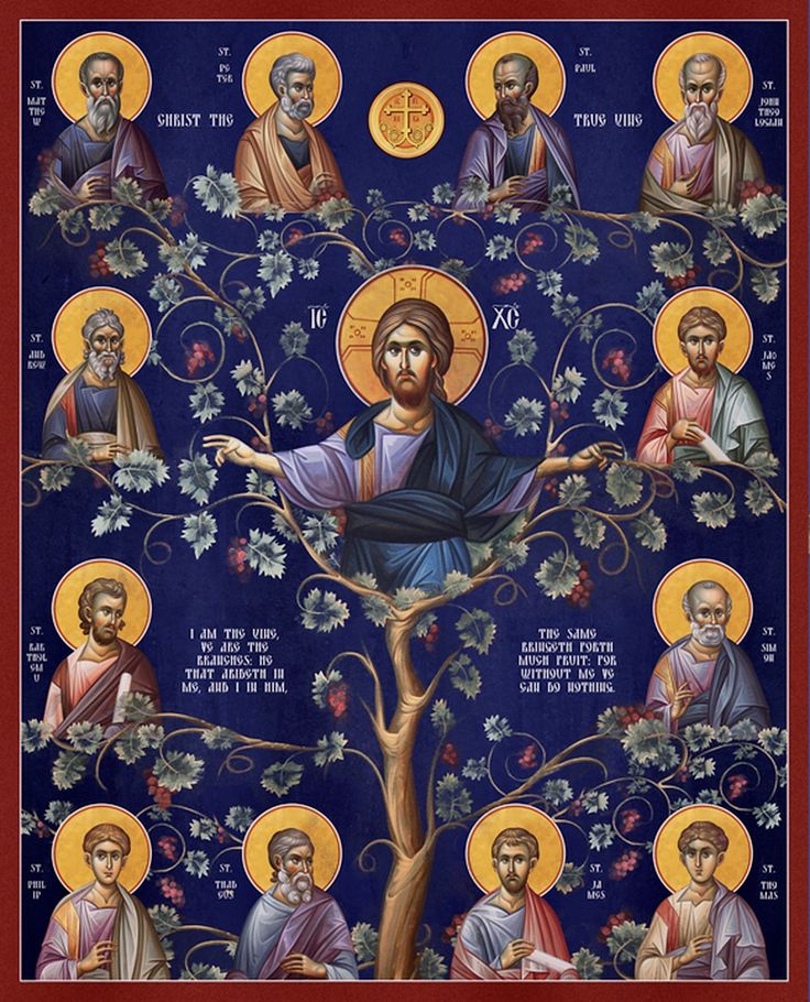 PALABRA del MIÉRCOLES 21 de mayo meditada por los Papas